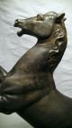 Alte Figur,  Skulptur,  Metall Pferd,  Hengst Auf Holz Sockel,  28 Cm,  1,  8 Kg,  Antik 1900-1949 Bild 2