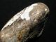 7000j.  A: Schlagstein Hammer Fossilien Retuscheur Steinzeit Mesolithikum Antike Bild 6