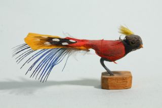 Erzgebirge Um 1920 Spielzeug / Modell Singvogel Mit Echten Federn - Delikat Bild