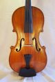 Alte 4/4 Geige,  Violine Mit Inschrift Antonio Liciliano Musikinstrumente Bild 1