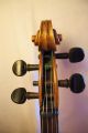 Alte 4/4 Geige,  Violine Mit Inschrift Antonio Liciliano Musikinstrumente Bild 4