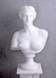Marmor Alabaster Büste Frauenkopf Venus Von Milo Frauenbüste Antike Antike Bild 1