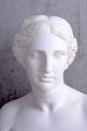 Marmor Alabaster Büste Frauenkopf Venus Von Milo Frauenbüste Antike Antike Bild 3