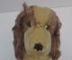 Steiff Hund Antik Unikat Ca.  27 Cm,  Mit Strohfüllung,  Mit Drehkopf,  Mit Halsband Tiere Bild 3