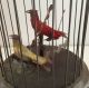 Alte Antike Spieluhr Im Vogelkäfig Mit Zwei Beweglichen Vögeln.  Käfig Bronze Antike Bild 2