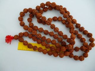 Mala Rudhraksha Shiva 108 Beads Hindu Sadhu Indien Gebetskette Bild