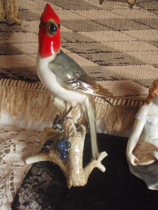 Vogel Hutschenreuther Vogelfigur Kardinal Porzellanfigur Figurine Auf Ast Bild