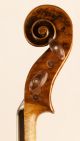 300 J.  Alte Italienische Geige Bergonzi Zettel Storioni Violine Violon Violino Musikinstrumente Bild 8