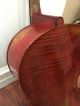 Handmade 4/4 Cello French Red Europäisches Violoncello Handgefertigt Musikinstrumente Bild 8