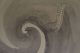 Antikes Japanisches Rollbild Kakejiku Drache Japan Scroll Dragon 1330 Asiatika: Japan Bild 4