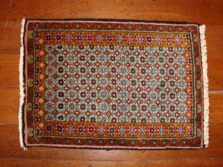 Perser Teppich Bidjar Zanjan Orientteppich Wolle Top Qualität 60x40 Handgeknüpft Bild