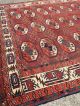 Antike Turkmene 1850,  315x170cmteppich,  Old Rug, Teppiche & Flachgewebe Bild 6
