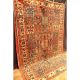 Antik Handgeknüpft Orientteppich Felder Bachtia Vintage Old Rug Carpet 295x205cm Teppiche & Flachgewebe Bild 2