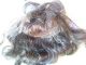 Alte Puppenteile Dunkelbraunelocken Haar Perücke Vintage Doll Hair Wig 30cm Girl Puppen & Zubehör Bild 4