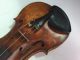 Alte Geige Old Violin Nicolatis Simoutre Lupot Nicolai Discipulus Divoduri 1835 Musikinstrumente Bild 9