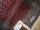 Echte Handgeküpfte - Buchara Teppich Top / Ware - Tappeto - Tapis,  Rug,  1 Million Teppiche & Flachgewebe Bild 7