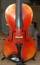 Alte 4/4 Geige - Violine - Zettel : Antonius Stradiuarius Cremonensis - Um 1900 Musikinstrumente Bild 1