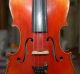 Alte 4/4 Geige - Violine - Zettel : Antonius Stradiuarius Cremonensis - Um 1900 Musikinstrumente Bild 4