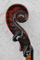 Feine Ur - Alte Meister - Violine Nur 5 Tage Old Violin Violon,  Violino Musikinstrumente Bild 9
