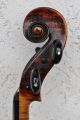 Feine Ur - Alte Meister - Violine Nur 5 Tage Old Violin Violon,  Violino Musikinstrumente Bild 5