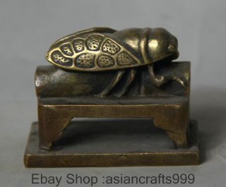 5.  8cm Ancient Chinese Folk Privat Copper Cicada Begrenzte Seal Stamp Signet Bild