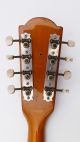 Rare Framus Banjo Bandoria Vintage Old No Guitar Mandoline Alte Gitarre Antique Musikinstrumente Bild 9