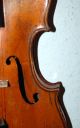 Wunderschön Geflammte Sehr Alte 4/4 Geige - Violine - Um 1850 - 4 Eckklötzchen Musikinstrumente Bild 4