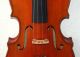 Feine,  Handgemachte 3/4 Geige - Violine - Um 1920 - Mit 4 Eckklötzchen Musikinstrumente Bild 3