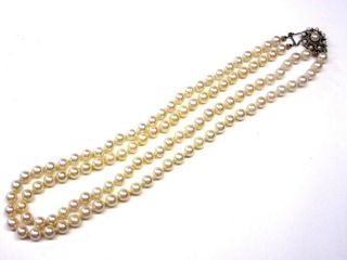 Edle Weise 2reihige Perlenkette Mit Massivem Goldverschluss (585er) 4g2994 Bild
