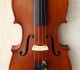 Wunderschöne Alte Deutsche 4/4 Geige - Violine - Um 1900 Musikinstrumente Bild 2