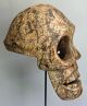 Rare Bantu Funeral Skull Mask,  D.  R.  Congo – Masque Crane,  D.  R.  Kongo Entstehungszeit nach 1945 Bild 2