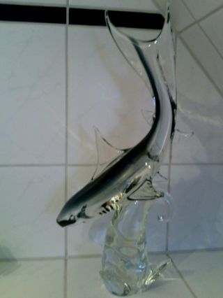 Murano Glas Hai/shark Bild