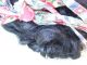 Alte Puppenteile Schwarze Locken Haar Perücke Vintage Doll Hair Wig 45 Cm Girl Puppen & Zubehör Bild 1
