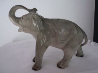 Alter Porzellan Elefant Aus Der Sitzendorfer Porzellanmanufaktur - Pressnummer 0 Bild