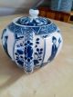 Teekanne Kanne Japan China Antik Um 1910 Blau Weiß Asiatika: China Bild 2