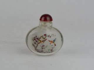 Collectible Exquisite Decoration Old Glass Handwork Painting Bird Snuff Bottle Bild