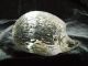 Kleiner Süßer Igel Bleikristall Glas Figur Klar Top Glas & Kristall Bild 4