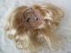 Alte Puppenteile Hellblonde Locken Haar Perücke Vintage Doll Hair Wig 30 Cm Girl Puppen & Zubehör Bild 5