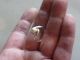 Damenring Silber Ring Perle Silberring Diamantiert / Glatt Design Schmuck 17mm Ringe Bild 5