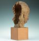 Lebensgroße & Handmodellierte Terracotta Büste G.  Regnauld Frankreich 1900 Bust 1900-1949 Bild 5