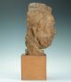 Lebensgroße & Handmodellierte Terracotta Büste G.  Regnauld Frankreich 1900 Bust 1900-1949 Bild 6