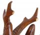 1 Paar Antike Rehböcke Köpfe Geweih Holz Handgeschlitzt Gefasst Um 1900 Jagd & Fischen Bild 8