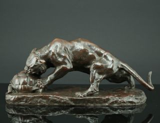 Georges Gardet Tier Skulptur Bronze Tiger & Schildkröte 1900 Animalier Sculpture Bild