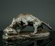 Georges Gardet Tier Skulptur Bronze Tiger & Schildkröte 1900 Animalier Sculpture Bronze Bild 1