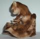 Zwei Kämpfende Bären Keramik Figur Sitzendorf Nach Form & Funktion Bild 10