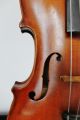 Feine Alte Violine,  Louis Otto Düsseldorf Nur 5 Tage Old Violin Violon,  Violino Musikinstrumente Bild 3
