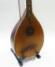 Antike 12 Saitige Bass - Laute Mit Ornament Musikinstrumente Bild 3