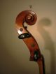 Altes Violoncello Von 1800 // Old Cello 1800 Musikinstrumente Bild 5