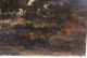 Sonnenbeschienene Waldlichtung Mit Ruhenden Kühen,  Louis Coignard Um 1850 Originale der Zeit Bild 5