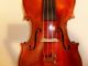 Alte Geige Violine 4/4 Old Violin Italian Labeled Pietro Gallinotti Violino Musikinstrumente Bild 9
